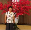 春天的头像