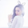 洋洋的头像