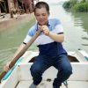 黄勇，非听莫评。的头像