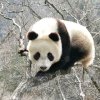 穷不醒的头像