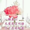 暖心（谢谢聆听无需礼物）的头像