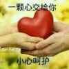 冬的头像
