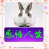 感悟人生的头像