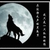 受伤的狼的头像