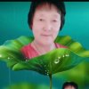 东方红的头像