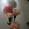 余生有你就够了。的头像