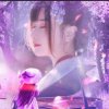 杏雨春花的头像