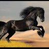 骏马奔腾的头像