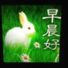 逍遥哥的头像