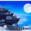 勿忘我@的头像