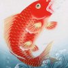 大鱼的头像