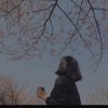 最佳女汉子的头像