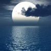 沧海月明的头像