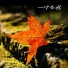 好韵来的头像