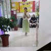 坦然宁静的头像