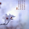 梅花的头像