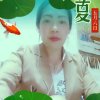 浅蓝色的回忆的头像
