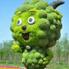 刘君的头像