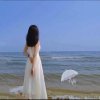 鑫馨幸福的头像
