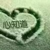 雨的头像