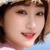 白玫瑰的头像