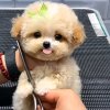 多幸运（）的头像