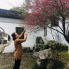 空谷幽兰的头像