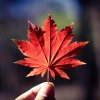 中国梦 靳巍的头像