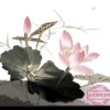 芙蓉【FURONG】的头像