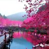 一帆风顺的头像