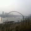 果实磊磊的头像