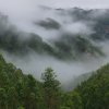 許登山的头像