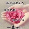 阿英18819509181的头像