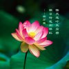 点点滴滴的头像