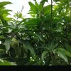 裕和的头像