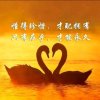 沐沐的头像