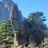 喜上梅梢的头像