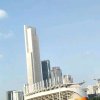 竹的头像