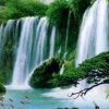 幸福一生的头像
