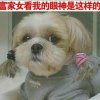 @菊……飘香“@”的头像