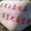 绿叶（不听勿评）的头像