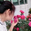 幽兰《停币》的头像