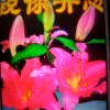 梦想起航的头像