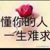楚楚的头像