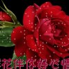 山的头像