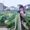 清心荷的头像
