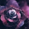 欢乐家园的头像