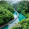 淡淡的回忆的头像