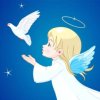 快乐天使的头像