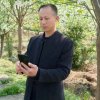 守候的头像